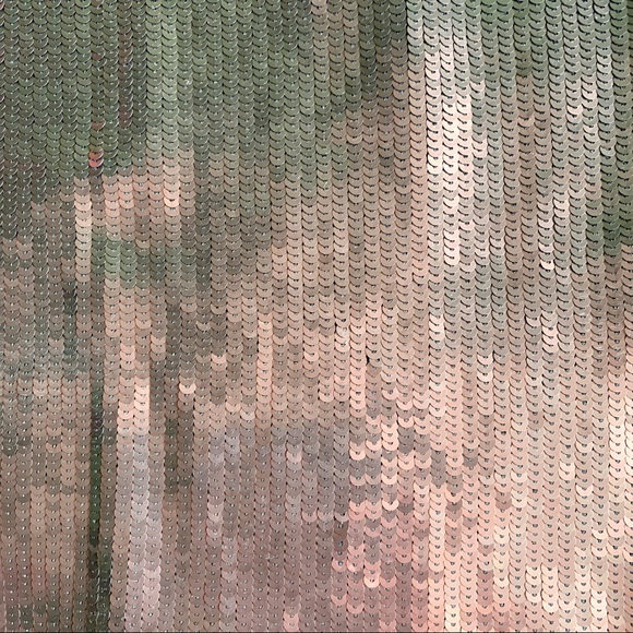 Banana Republic Sequin Skirt Sz0 - Picture 5 of 7